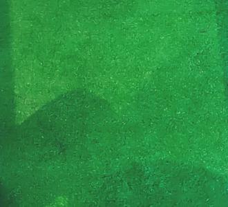 KS关注:小洲团队-妲己、静静、小洲∥Y.