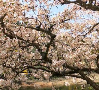 我们来了拍摄现场之汪涵学闽南话&hell.