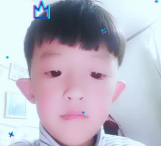 是画师对着真人照片用ps+sai+手绘板在电脑上