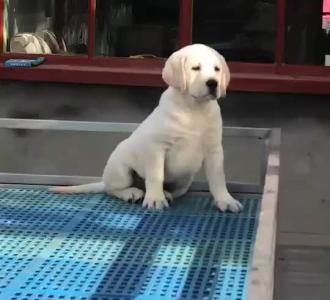 【新主播喵月儿新人求关注 直播间id:3369255