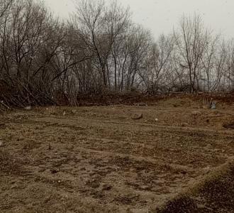 【数数我年龄。嘻嘻】视频直播-YY