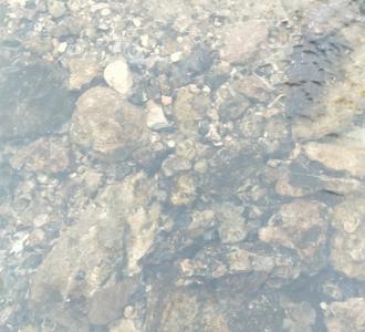 内双眼皮好看,唉看到我邻居女孩割双眼皮,.