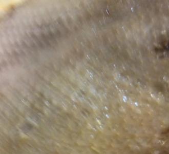 水晶泥教程先加胶水加水放盐水搅拌完成