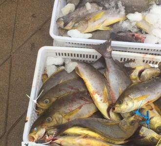 【4187哎呦喂 关注新浪微博杜雨轩分享的小视