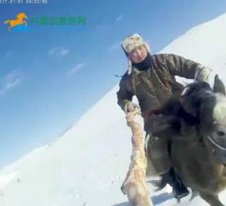 第一次来内蒙的韩国人看到烤羊腿都震惊啦!.