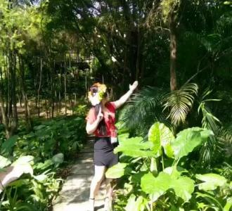 AAAAAD18水果捞艳姐分享的小视频