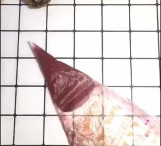 白心火龙果,去火美容养颜花青素高