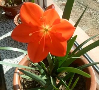 咚咚咚咚咚咚巴拉