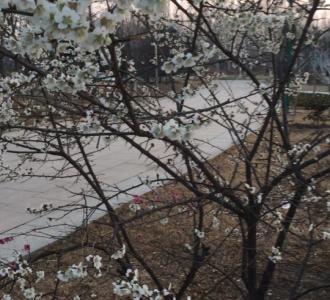 i 浩南传媒: 段子来了!不好意思小伙伴.