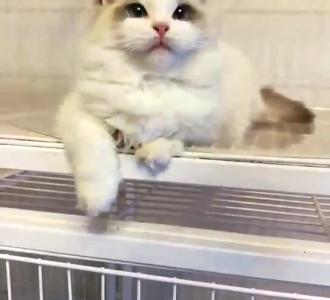 【现在最火的穿戴美甲。】视频直播-YY