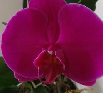 外汇稳赢包赔专场