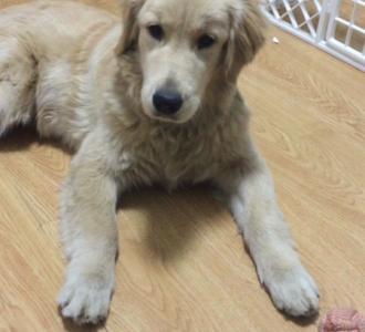 【哈哈哈哈哈哈哈哈哈哈 太空舞步教学】视频