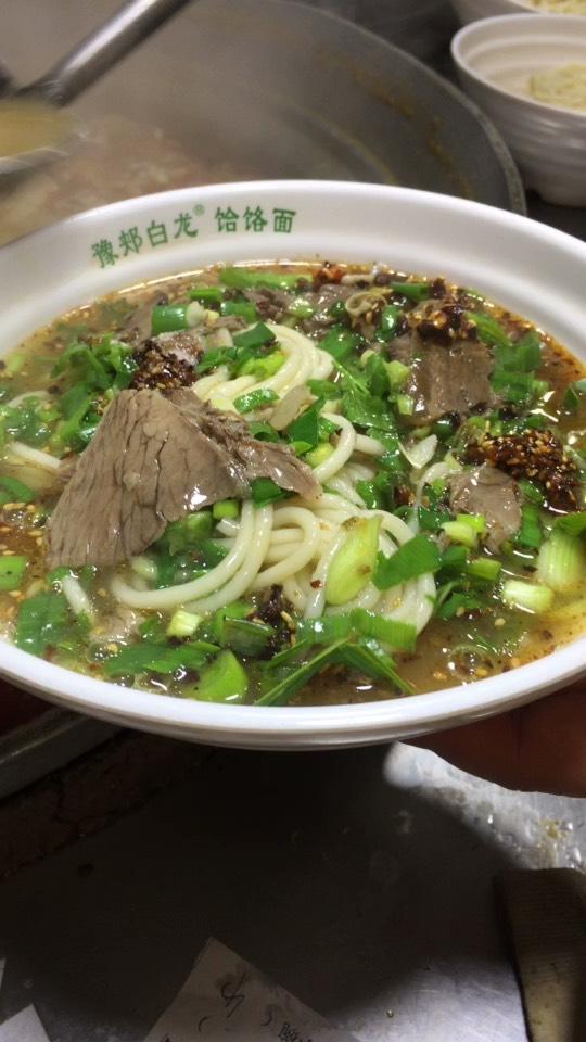 豫郏白龙饸饹面13461157777视频直播全集_豫