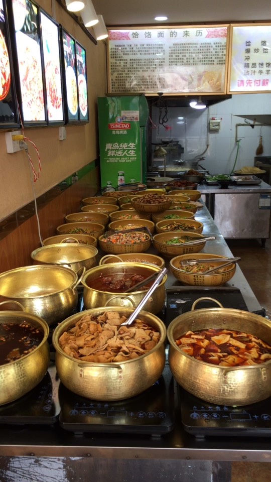 豫郏白龙饸饹面13461157777视频直播全集_豫