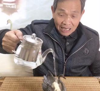 【想要逃,逃不掉】视频直播-YY