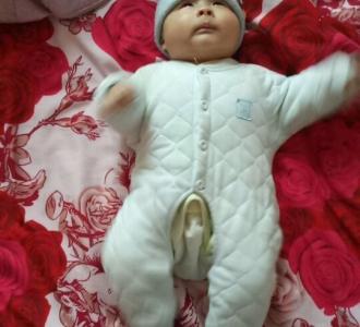 【蒙包出来的,忽悠人主播不举!例6】视频直播