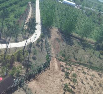 【怕怕】视频直播-YY