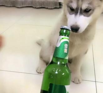 不听话的被子分享的小视频