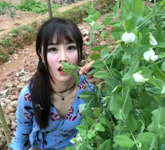 【抖音小助手夏沐湷光女神啊只能这样了昨天的