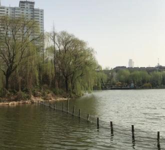 大家说说动漫人物头发和衣服涂什么颜色好看.