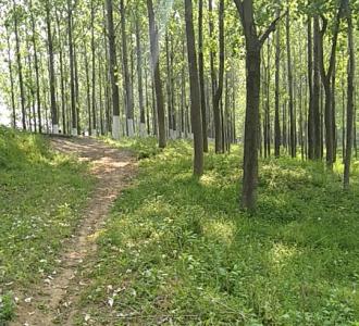 也欢迎来火山看我直播