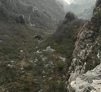 #音乐#新进学习乐器才艺主播《一壶老酒》.