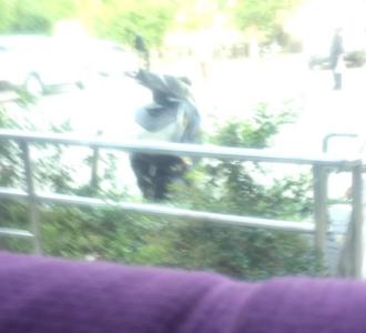 【她割破了手,他紧张的要疯掉,飞奔到医院给她