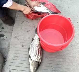 #大学生来了#小鬼@