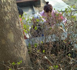 超喜欢白山茶这首歌? 感觉我脸好.