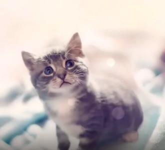 【4864!途梦 《老大天佑》分享的小视频】视频