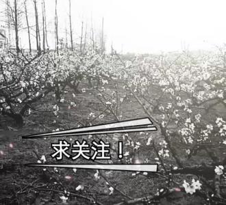 【诚天精品鞋店,使用￥新店开张,有需要买板鞋