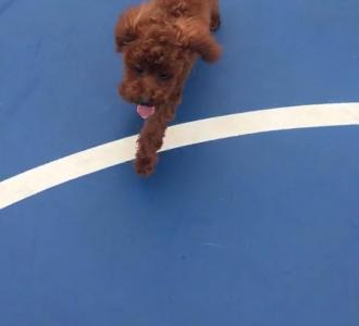 冕哥在试话筒,韩毅喝水入镜