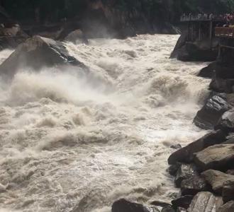 #萌宠日常#怎么让猫知道自己叫什么呢13次播