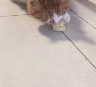 新主播上路。想听什么 评论。双击评论加关.1