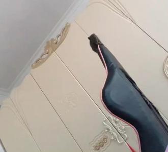 【小蜜柚】视频直播-YY