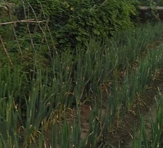 【励志分享的小视频】视频直播-YY