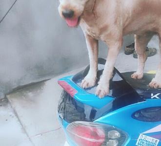 【【四川吊丝】的【表情消消乐】】直播视频 