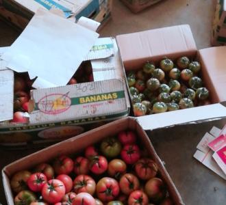 【卖货】视频直播-YY