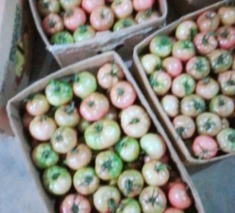 【卖货】视频直播-YY