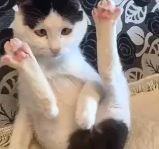 【你能再污点吗?】视频直播-YY