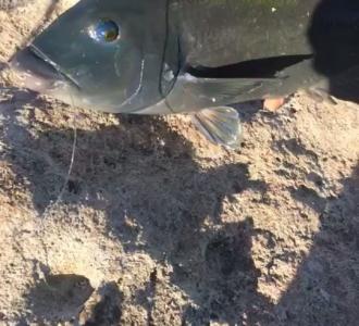 【手机百度搜索或者手机软件app搜索:借贷宝。