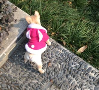 【DJ喝醉以后才明白滑雪场走唱】视频直播-Y