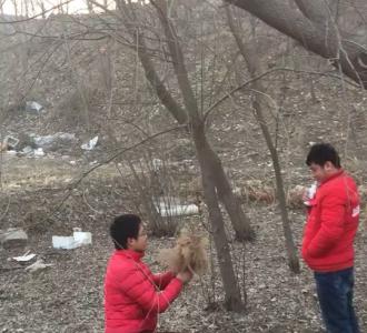 【现在最流行的俄舞】视频直播-YY