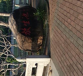 【双击评论加关注,没毛病,员工餐】视频直播-Y