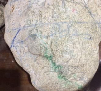 【二人转演员九岁红分享的小视频】视频直播-