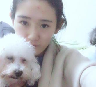 【#萌宠日常#盖住我的小被子 累的像只狗啊】