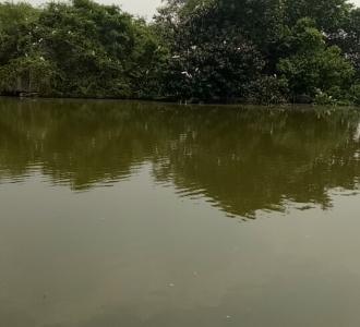 歌名爱的就是你