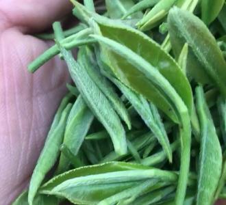 直播间里欢乐多