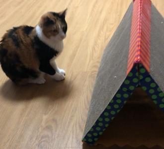 【#转笔】视频直播-YY