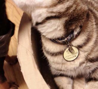 拉面胶制作方法